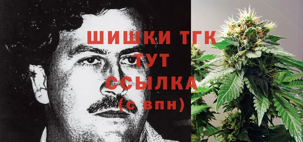 шишки Семилуки