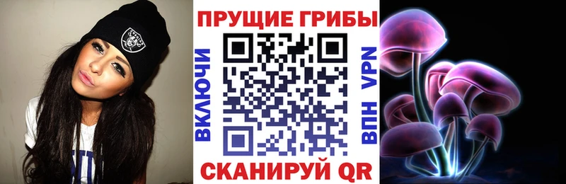 Псилоцибиновые грибы ЛСД  где купить   Ковдор 